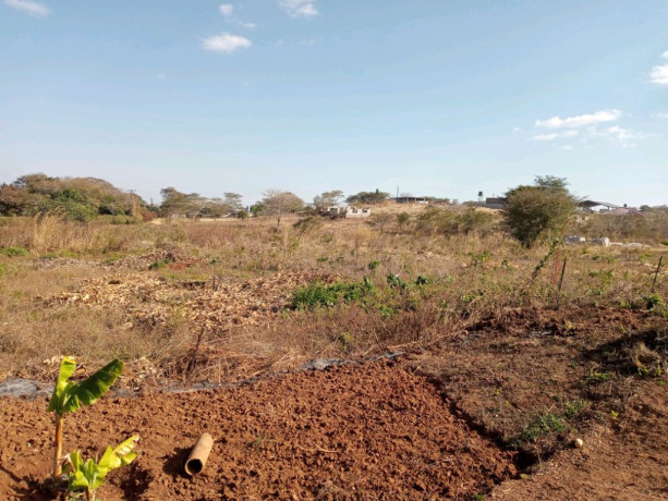 farmland-for-sale-in-mapepe-chilanga-big-0
