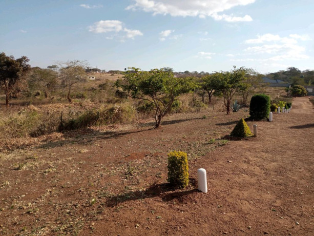 farmland-for-sale-in-mapepe-chilanga-big-1