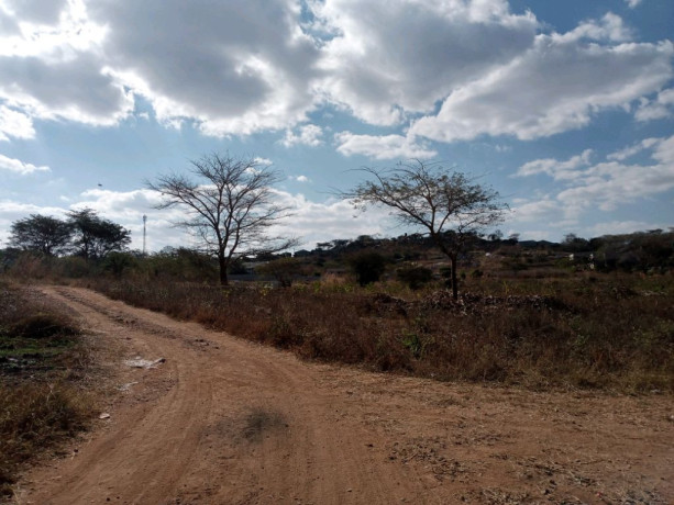 farmland-for-sale-in-mapepe-chilanga-big-2