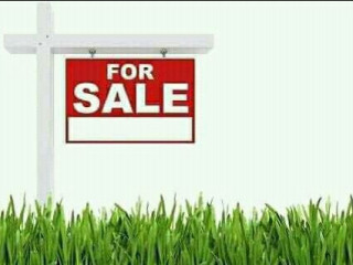 prime-mother-title-plot-near-tarmac