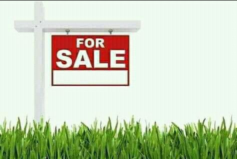 prime-mother-title-plot-near-tarmac-big-0