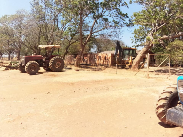 commercial-farm-for-sale-big-3