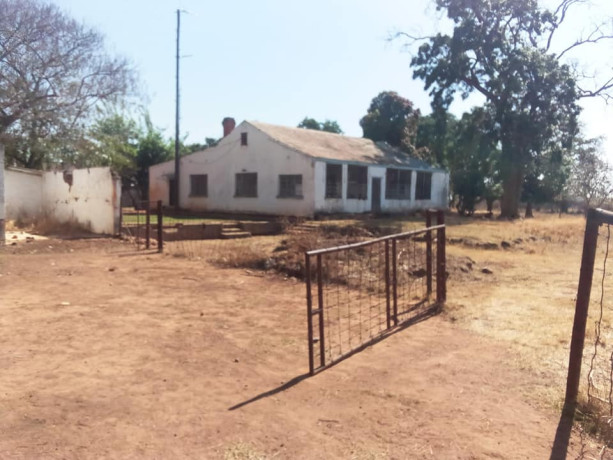 commercial-farm-for-sale-big-0