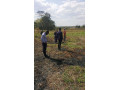 farm-for-sale-in-kitwe-small-1