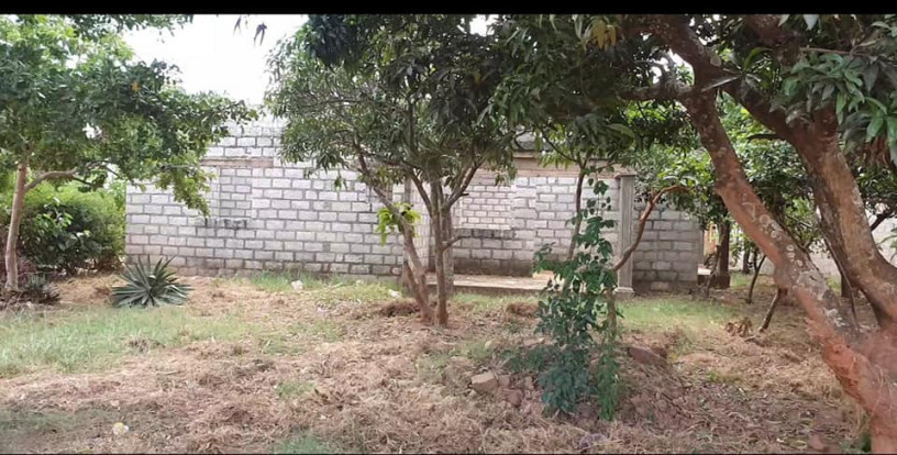 spacious-property-with-negotiable-price-big-2