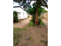 for-sale-3-bedroom-stand-alone-house-in-avondale-wanga-area-small-5