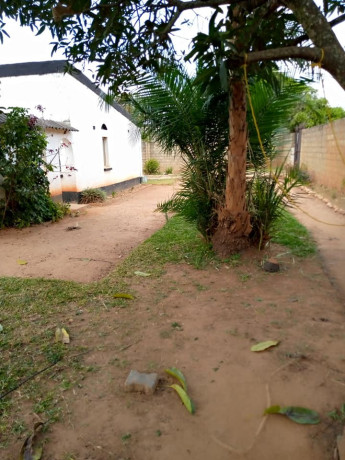 for-sale-3-bedroom-stand-alone-house-in-avondale-wanga-area-big-5