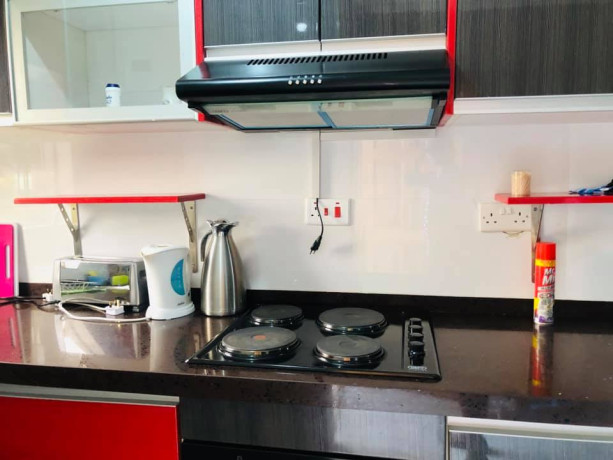 2-bedroomed-fully-furnished-flats-for-rent-big-4