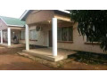 2-bedroom-house-for-rent-in-chalala-small-5