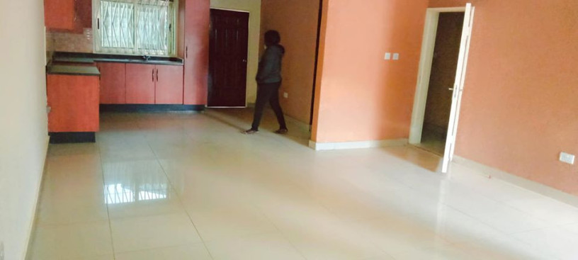 spacious-2-bedroom-flat-in-kamwala-south-big-3