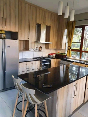 executive-and-luxurious-5-bedroom-house-in-roma-park-big-7