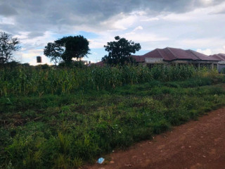 plot-for-sale-in-the-high-cost-area-of-meanwood-ibex