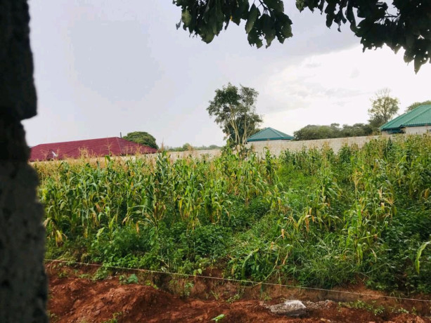 plot-for-sale-in-the-high-cost-area-of-meanwood-ibex-big-1