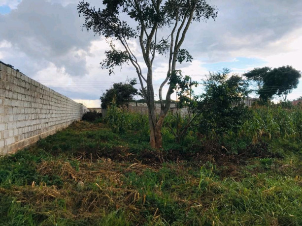 plot-for-sale-in-the-high-cost-area-of-meanwood-ibex-big-3