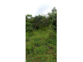 6-acres-land-for-sale-in-shimabala-small-0