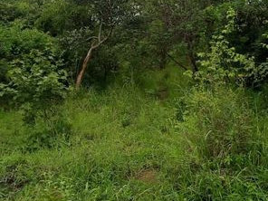 6-acres-land-for-sale-in-shimabala