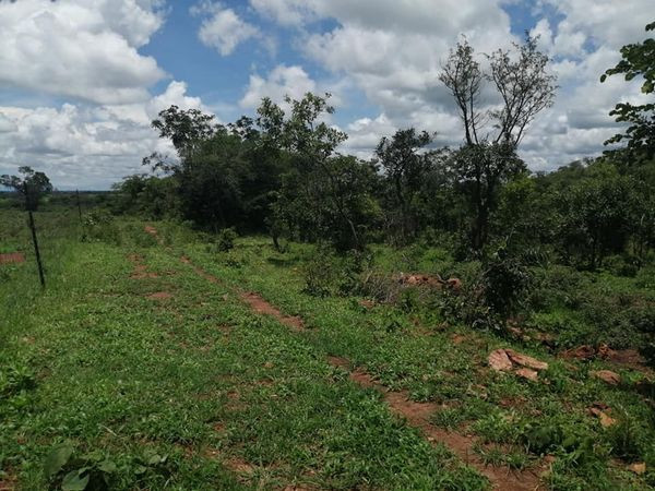 6-acres-land-for-sale-in-shimabala-big-1