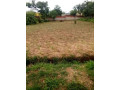 plot-for-sale-in-zanimuone-west-small-0