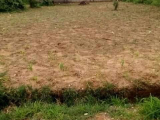 plot-for-sale-in-zanimuone-west