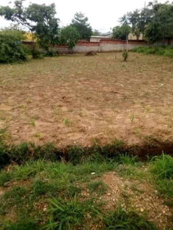 plot-for-sale-in-zanimuone-west-big-0