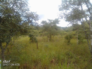 5-acres-property-for-sale-in-makeni-koonga