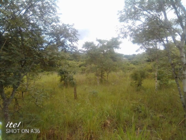 5-acres-property-for-sale-in-makeni-koonga-big-0