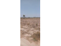 5-acres-of-virgin-land-in-kafue-small-0