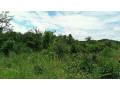 5-acres-of-land-for-sale-in-chilanga-mapepe-small-2