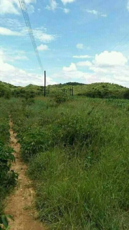 5-acres-of-land-for-sale-in-chilanga-mapepe-big-1