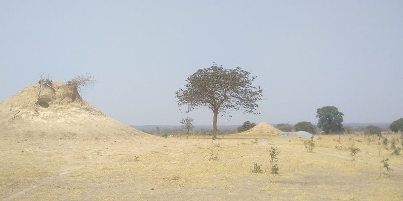 plots-for-sale-with-flexible-payment-plan-big-2