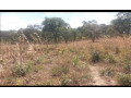 2400sqm-plot-for-sale-in-state-lodge-area-lusaka-small-4