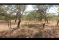 2400sqm-plot-for-sale-in-state-lodge-area-lusaka-small-2