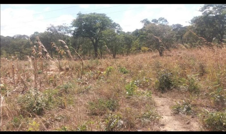 2400sqm-plot-for-sale-in-state-lodge-area-lusaka-big-4