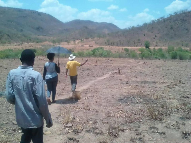 traditional-farm-land-for-sale-big-2