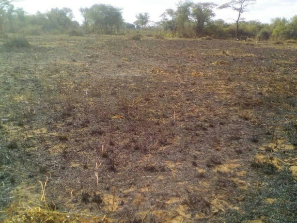 one-hectare-land-in-monze-with-frontage-on-livingstone-road-big-2