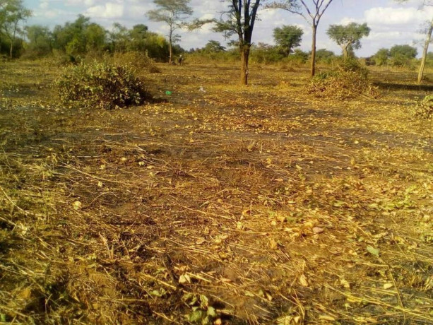 one-hectare-land-in-monze-with-frontage-on-livingstone-road-big-0