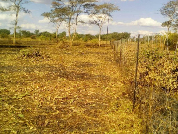 one-hectare-land-in-monze-with-frontage-on-livingstone-road-big-3