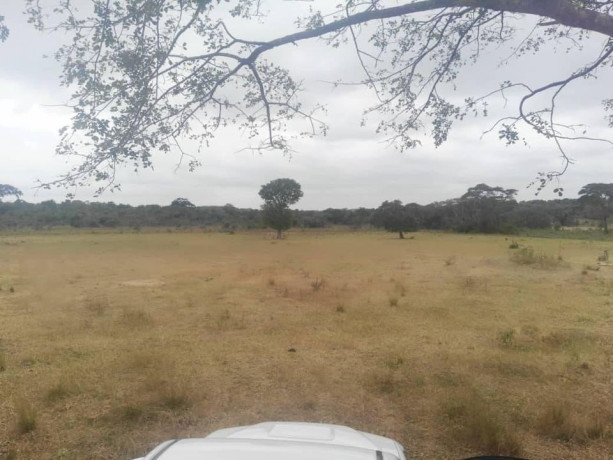 farm-for-sale-in-chisamba-big-2