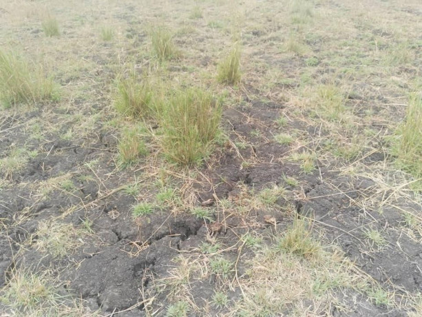 farm-for-sale-in-chisamba-big-4