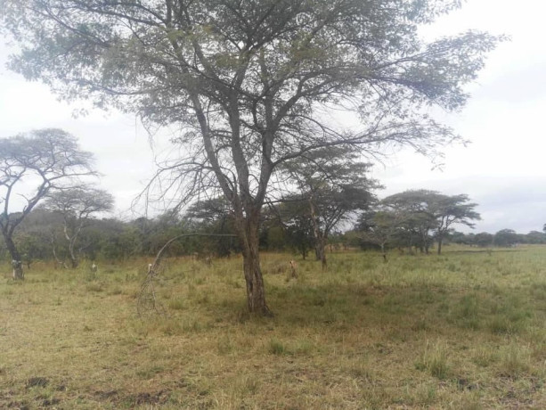 farm-for-sale-in-chisamba-big-0