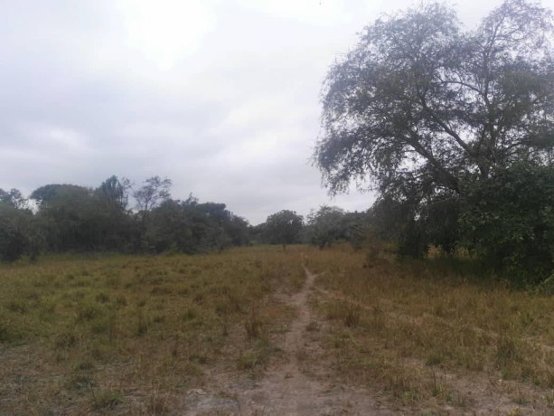 farm-for-sale-in-chisamba-big-1