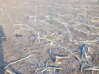 traditional-land-for-sale