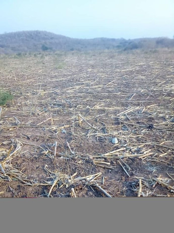 traditional-land-for-sale-big-5