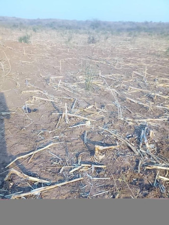 traditional-land-for-sale-big-0