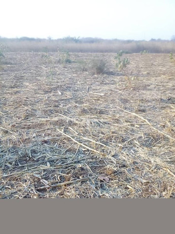 traditional-land-for-sale-big-1