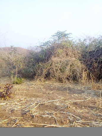 traditional-land-for-sale-big-7