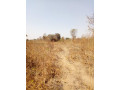traditional-farm-land-for-sale-in-kasisi-chongwe-small-2