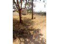 traditional-farm-land-for-sale-in-kasisi-chongwe-small-1