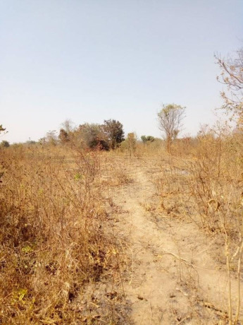 traditional-farm-land-for-sale-in-kasisi-chongwe-big-2