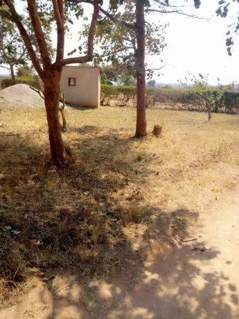 traditional-farm-land-for-sale-in-kasisi-chongwe-big-1